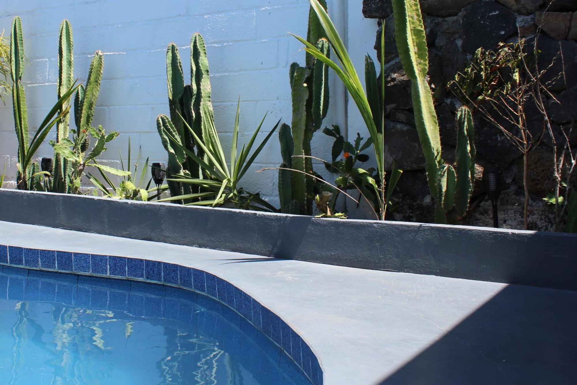 Hostal Pimampiro Puerto Baquerizo Moreno Exteriér fotografie